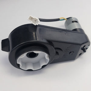 24V Electric Motor( front gear box).