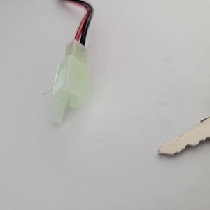 Renegade key switch.