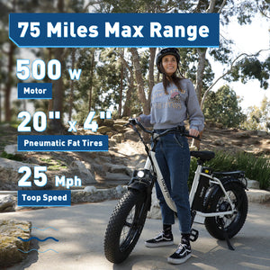 Hiboy EX6 Step-thru Fat Tire Electric Bike Black