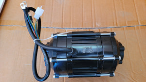 48V 1200W Renegade brushless motor