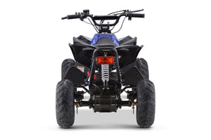 1200W 48V Renegade X ATV Blue