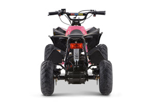 1200W 48V Renegade X ATV Pink