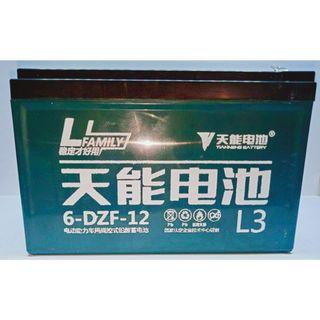12v12ah Rechargeable Battery